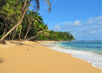 Sao Tome Praia (Chuck Moravec)  [flickr.com]  CC BY 
Infos zur Lizenz unter 'Bildquellennachweis'